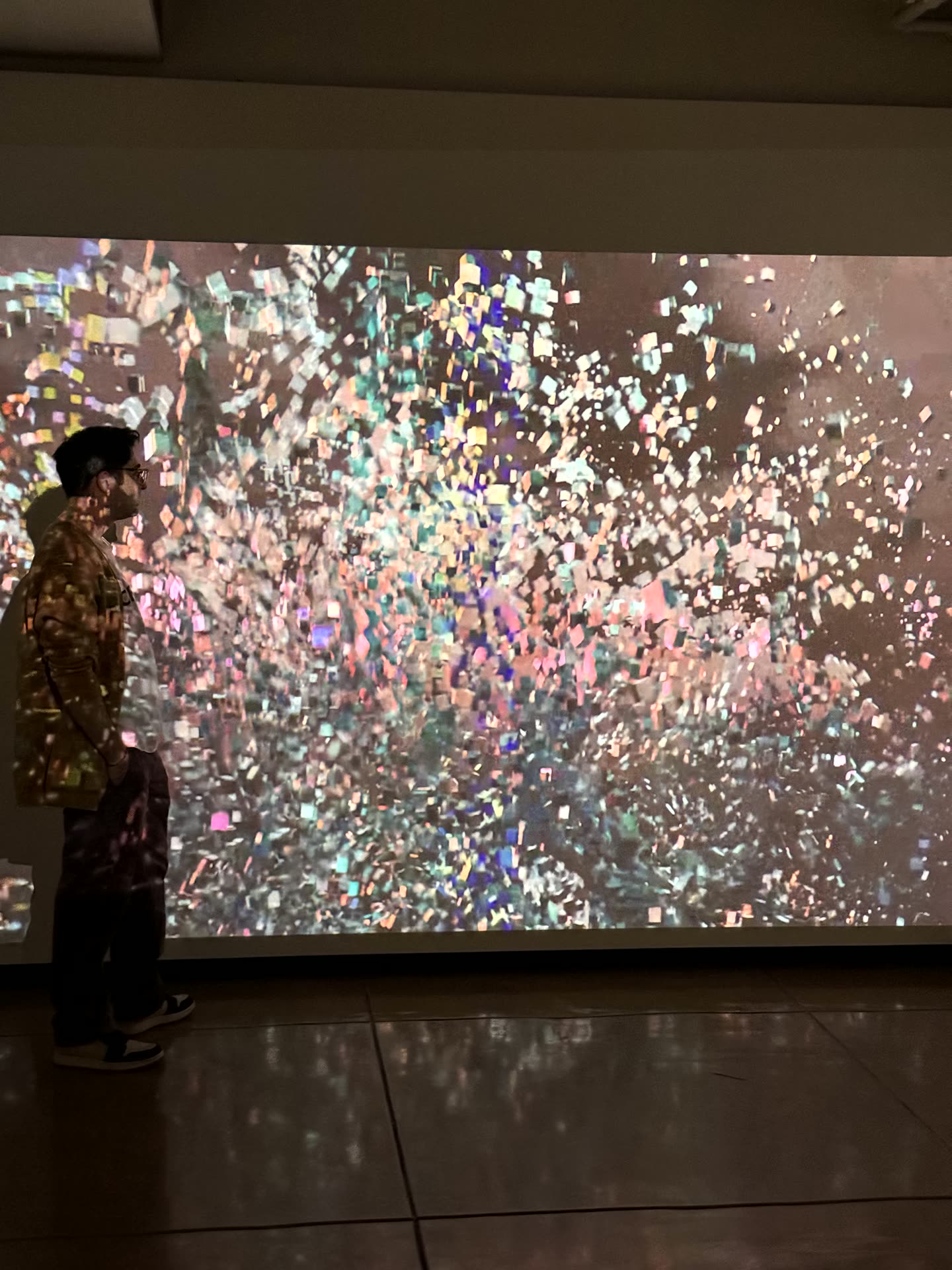 Viewing the projection of Organic Reflections